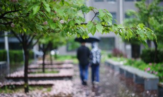 细雨湿衣看不见原文