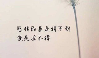 伤感心情短语（伤感心情短语致自己）