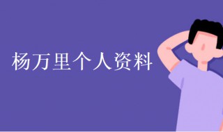 杨万里简介 宋代杨万里简介