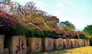 珠海有哪些大学 广东珠海有哪些大学