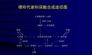 尿酸正常值是多少 尿酸正常值是多少60至70岁