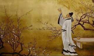 诗人李白简介（诗人李白简介小视频）