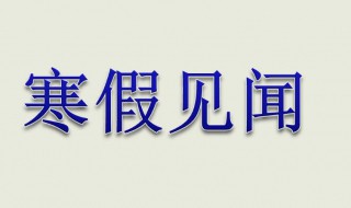 寒假见闻作文（寒假见闻作文300字三年级）