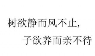 树欲静而风不止下句 树欲静而风不止下句是