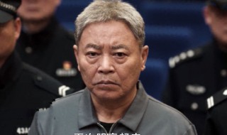 扫黑风暴村支书谁演的 扫黑风暴村长演员