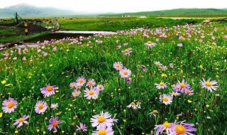 花湖海拔（花湖海拔多少米）