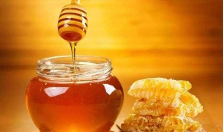 孕妇能喝蜂蜜吗 孕妇能喝蜂蜜吗前三个月