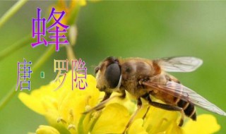 采得百花成蜜后为谁辛苦为谁甜赏析 采得百花成蜜后为谁辛苦为谁甜表达的意思