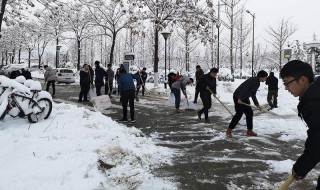 恶劣天气应急预案内容（恶劣天气应急预案范文）