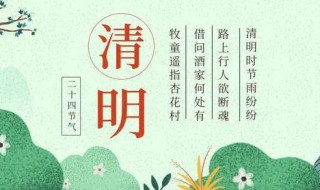 清明节作文 清明节作文600字初中作文