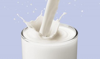 鲜牛奶的营养价值 鲜牛奶的营养价值高于纯牛奶吗