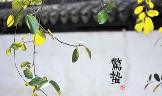 惊蛰怎么读 24节气惊蛰怎么读