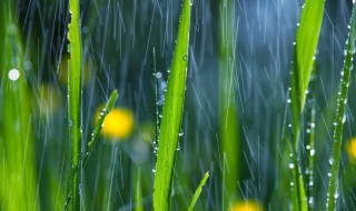 雨是怎样形成的（雨是怎样形成的?是从哪来的?）