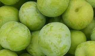奈李是热性还是凉性（奈李是寒性水果吗）