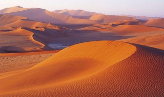 世界上最大的沙漠是什么沙漠（世界上最大的沙漠是什么沙漠位于什么洲）