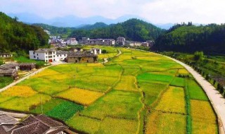 惬意的乡村生活的句子 惬意的乡村生活的句子简短