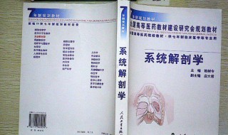 系统解剖学介绍（系统解剖学介绍PPT）