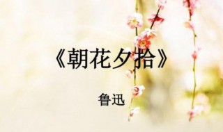 朝花夕拾优美句子摘抄（朝花夕拾优美句子摘抄带出处）