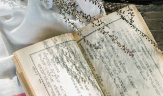 卫青与霍去病什么关系 卫青与霍去病相差多少岁