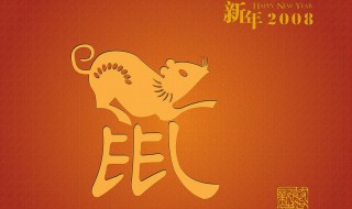 08年是鼠年发生了什么 08年是鼠年发生了什么事情