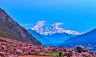 几月份去西藏旅游最好（几月份去西藏旅游最好的时间）