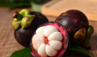 怎么挑山竹 怎么挑山竹才是好的