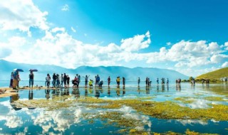 大理旅游攻略必去景点（大理旅游攻略必去景点推荐）