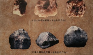 我国境内最早的人类是 我国境内最早的人类是山顶洞人吗