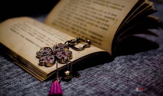 雪茄怎么读（茄子雪茄怎么读）