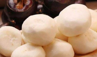 马蹄薯的功效与作用 马蹄薯的功效与作用及禁忌