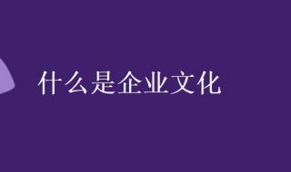 什么是企业文化（什么是企业文化他包括哪些内容）