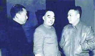 毛人凤怎么死的（毛人凤最后下场）