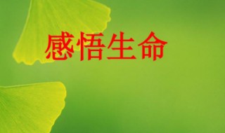 生命与死亡的感悟 生命与死亡的感悟800字