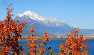 丽江旅游什么季节好 丽江旅游什么季节好玩