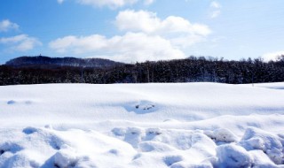 雪怎么形成的（雪是怎么形成的）