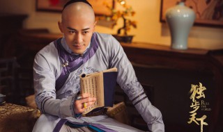 皇太极是谁（皇太极是谁的皇儿）