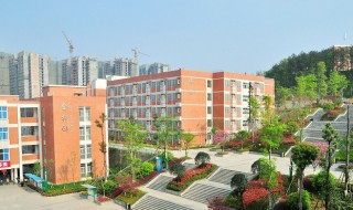 绵阳外国语实验学校怎么样 绵阳外国语实验学校好不好
