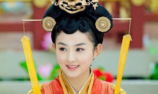 历史上的陆贞（历史的陆贞和高湛）