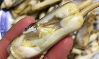 死了一天的蛏子还能吃吗 蛏子刚死一两个小时能吃吗
