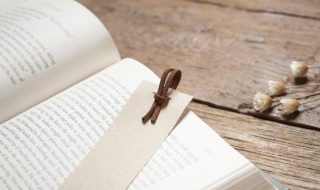 泰戈尔作者简介（花的学校泰戈尔作者简介）