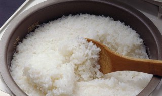 煮米饭用热水还是凉水 煮米饭用热水还是凉水下锅