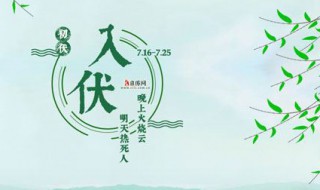 三伏是什么时候 三伏是什么时候结束