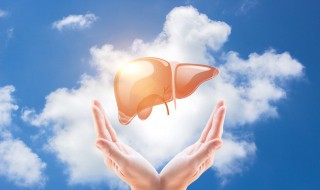 保护肝脏的最佳方法（有乙肝怎么保护肝脏的最佳方法）