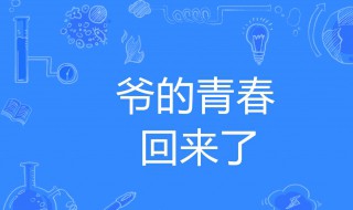 爷青回什么意思（网上最火的十大名梗）