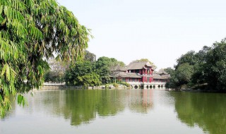 佛山值得去的免费景点（佛山值得去的免费景点推荐）