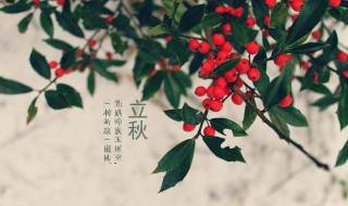 立秋民俗吃什么（立秋民俗吃什么食物）