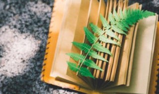 中国历史上最长的王朝 中国历史最长的王朝存在多少年?