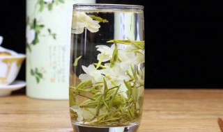 茉莉花茶什么人不能喝（茉莉花茶什么人不能吃）