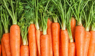 胡萝卜是碱性食物还是酸性食物 胡萝卜是碱性食物还是酸性食物?