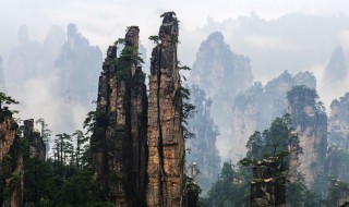 八月去哪里旅游最好（八月去哪里旅游最好国内）